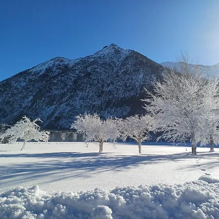 Alpenruhe 아파트 *