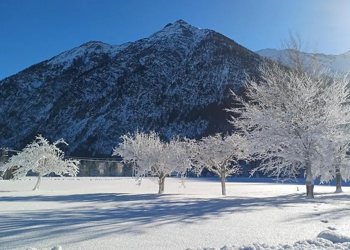 Alpenruhe Διαμέρισμα *